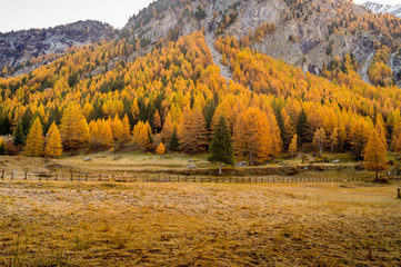 Fototapeta premium colorful mountain landscapes, fall colors, mountains, sky and water