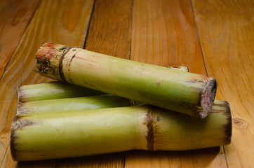 Sugar Cane
