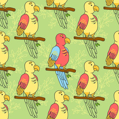 Parrot pattern. Natural birds pattern. 
