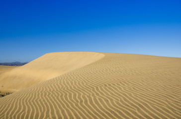 Dunes of Maspalomas