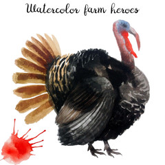 Naturalistic hand-draw watercolor farm bird - 125649385