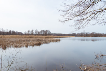 View of the lake shore.