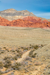 Dry Creek Bed in Red Rock Canyon