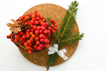 Fir tree branch on a round surface.