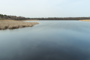 View of the tranquil river