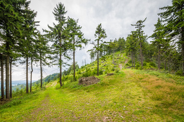 Przełęcz Trzech Dolin