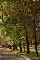 Naklejka premium Otoño