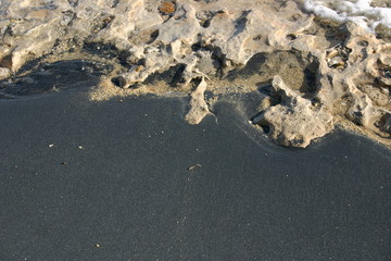 shore