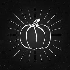 Vector illustration of pumpkin on the chalkboard. Happy Halloween concept. Vintage rays.