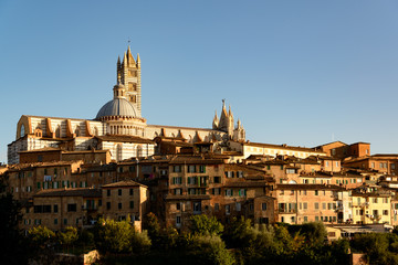 Fototapeta na wymiar Stadtansicht von Siena mit Dom