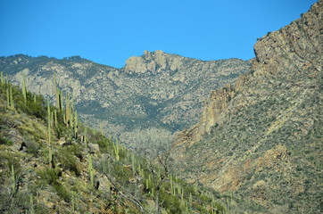 Sabino Canyon