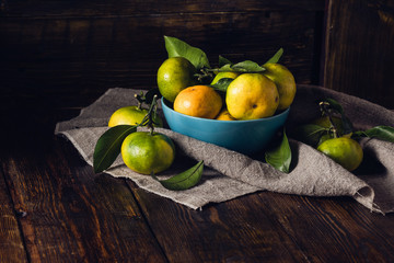 Still Life with Tangerines in Blue Bowl. © seva_blsv