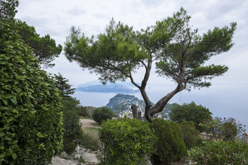 View of the Mediterranean Sea from Mount Solaro Capri Italy