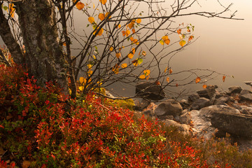 Fototapeta na wymiar Herbstfarben in Smaland Schweden