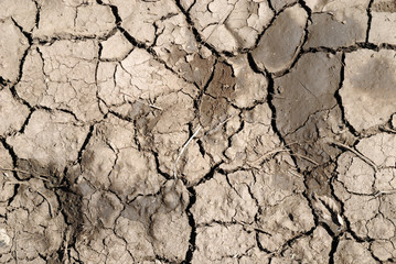 Close-up of scorched earth.