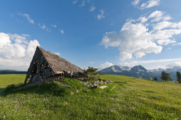 Old house ruins on a pasture in Durmitor national park in late afternoon sun, Montenegro