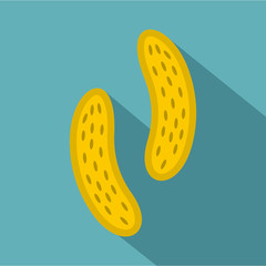 Epithelial cell icon. Flat illustration of epithelial cell vector icon for web