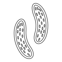 Epithelial cell icon. Outline illustration of epithelial cell vector icon for web