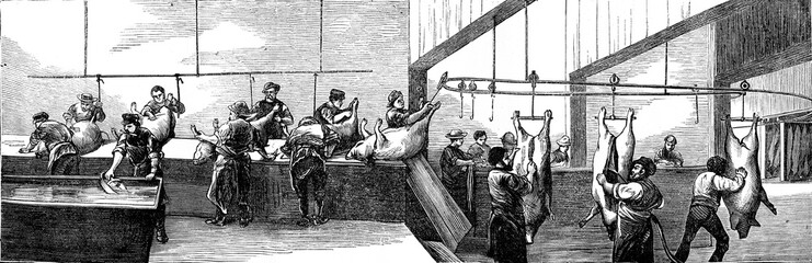 Cutting, vintage engraving.