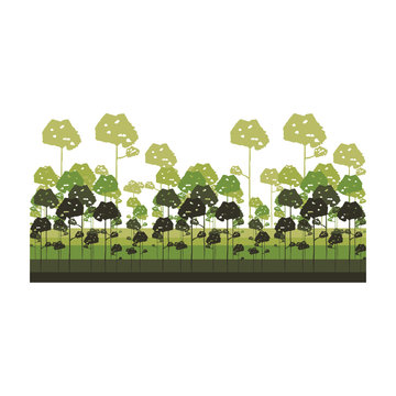 Redwood clip art preview