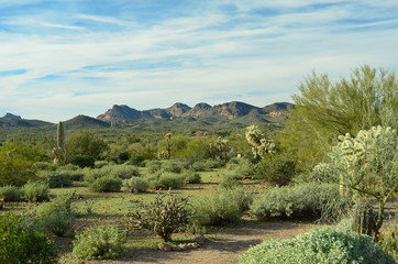 Canyon Lake & Superstition Mountains, Arizona