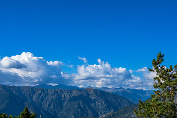 Fototapeta premium mountains covered in forest on a sunny day