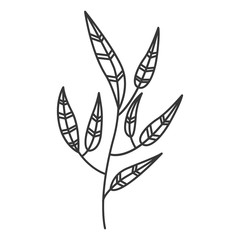 gray scale branch with leaves contour