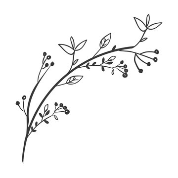 Gray Scale Decorative Branch With Leaves Vector Illustration