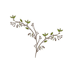 colorful decorative branch with leaves