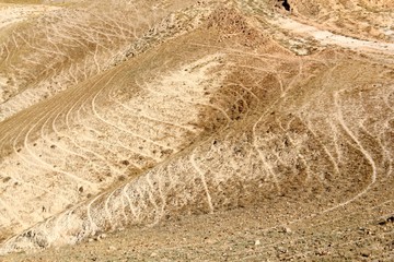 Lines in the Desert Sand