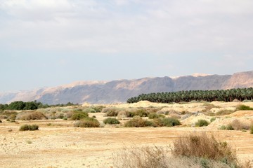 Cliffs in the Distance