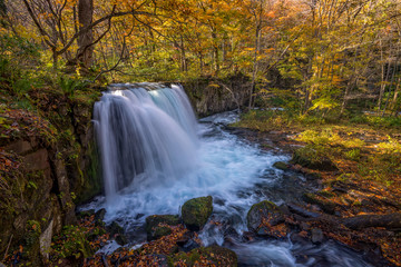 Fototapeta na wymiar Choshi waterfall at Oirase stream in Atumn season - Towada,Japan.