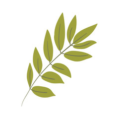 Silhouette oval leaves with ramifications vector illustration