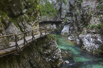 Slovenian Gorge
