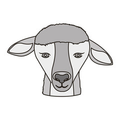 face of lamb animal over white background. vector illustration