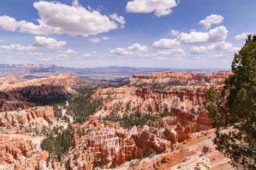 Red Canyon 5
