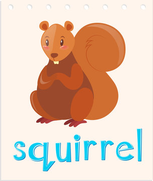 Flashcard with word squirrel