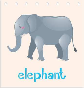 Animal wordcard with elephant