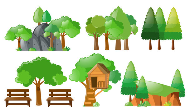Different forest and park elements