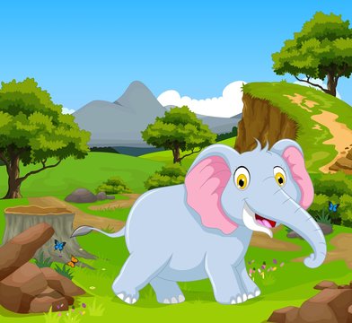 funny elephant in the jungle with landscape background
