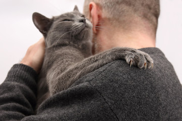 gray cat sitting on the shoulder of a man