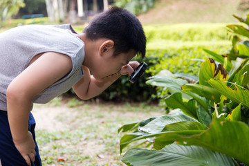 Asian Chinese little boy looking through magnifying glass
