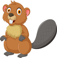 cute beaver cartoon posing © jihane37