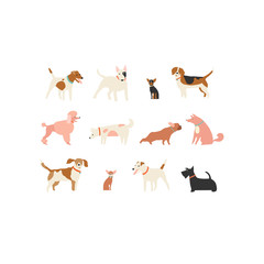 Dog puppy set illustration isolated in vector.