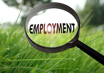 employment