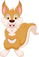cute squirrel cartoon standing