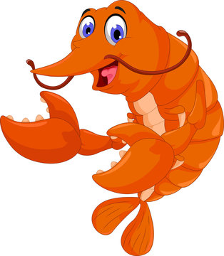 cute shrimp cartoon for you design