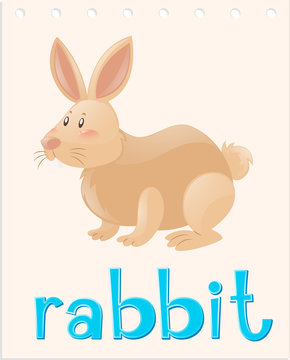 Animal flashcard with rabbit
