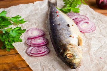 Herring with onion and spices 