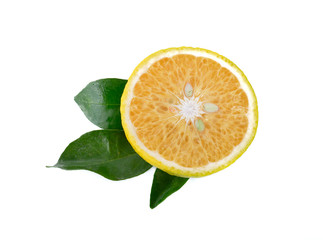 Sweet orange (citrus medica linn).